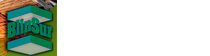 Logo Blinsur